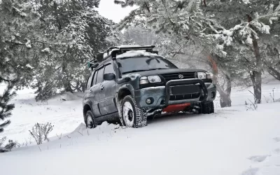 suzuki-3957302_1280